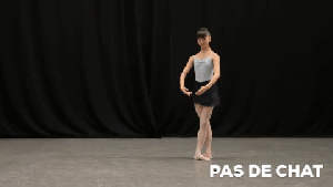 demonstrating a plie